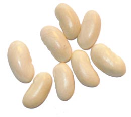 fasola